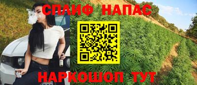 стафф Партизанск