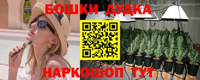 стафф Партизанск